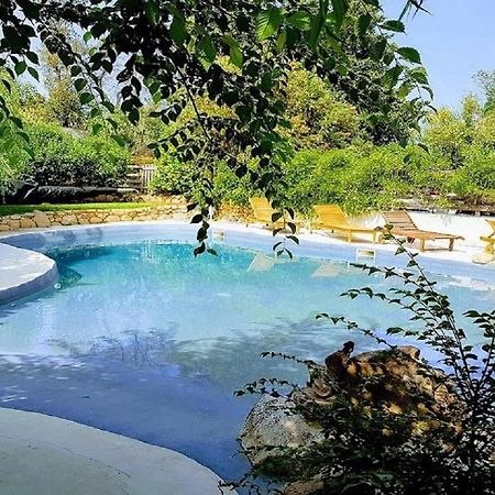 Salvacintoggio -Votre Villa Avec Piscine Privee- ポルトヴェッキオ エクステリア 写真